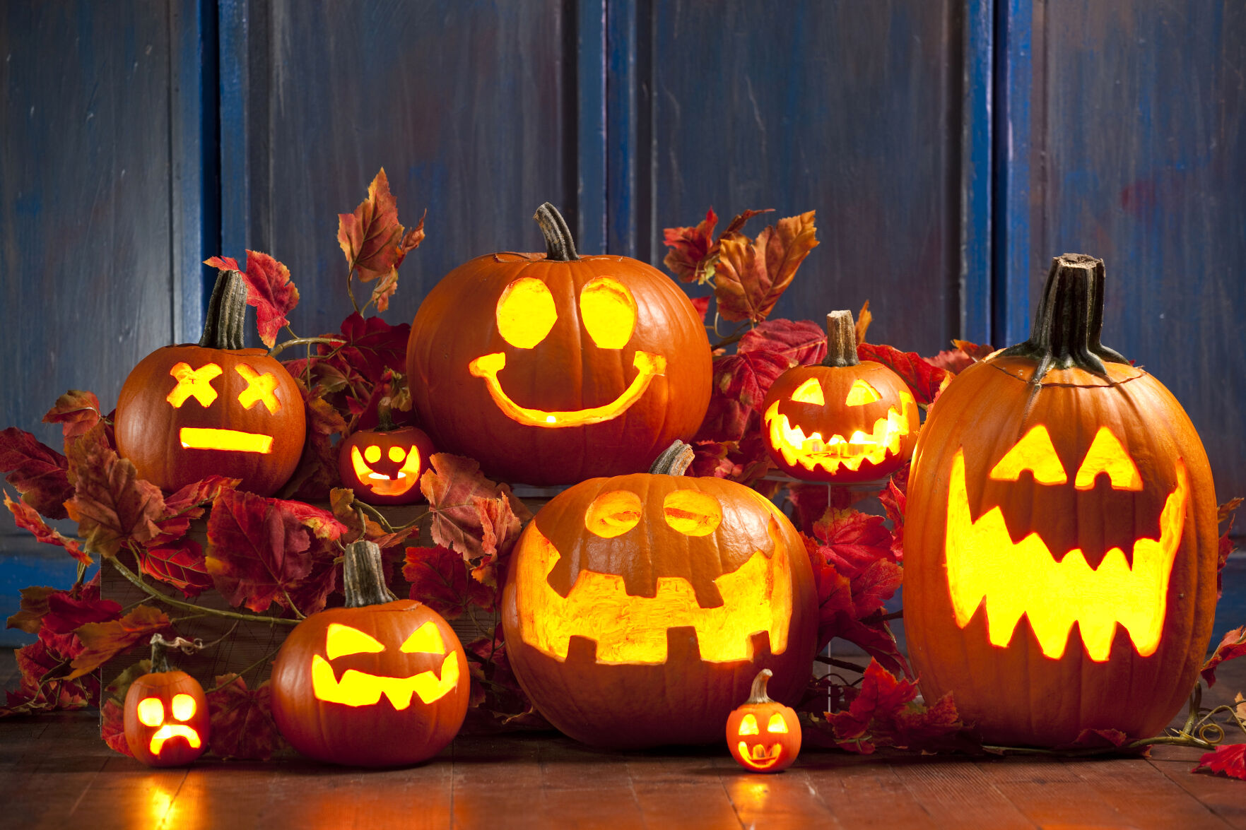 jack o lanterns.jpg